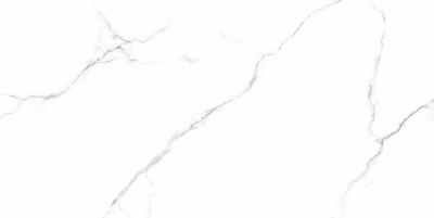 Керамогранит Neodom N20419 Marble Soft 60x120 Mckinley Carving