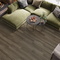 Apricot Artkera Group