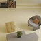 Design Colors Neodom