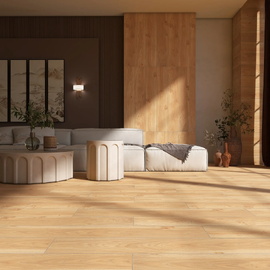 Wood Shine EUROTILE
