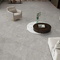 Concept Neodom