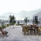 Солнечный рай/Sun Paradise Eurotile