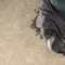 Hexatile Cement Equipe