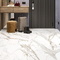 Calacatta Gold Alma Ceramica