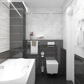 Olimpus Laparet