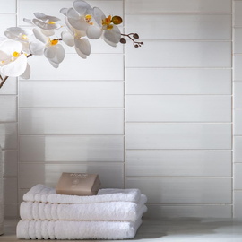 STRIPES AMADIS