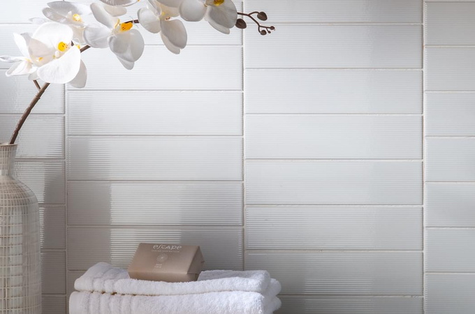 STRIPES AMADIS