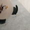 Somer Stone Grey Laparet
