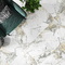 Skyros LCM