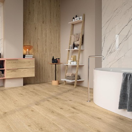 Wine Oak Atlas Concorde Russia