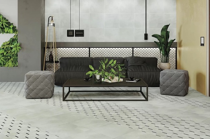 Anima New Trend