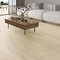 Керамогранит Foresta Essence Peronda