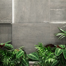 Urban Venis