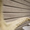 Керамическая плитка Lexington Porcelanosa