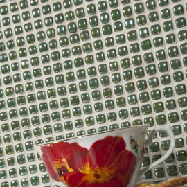 Pearl Vidrepur