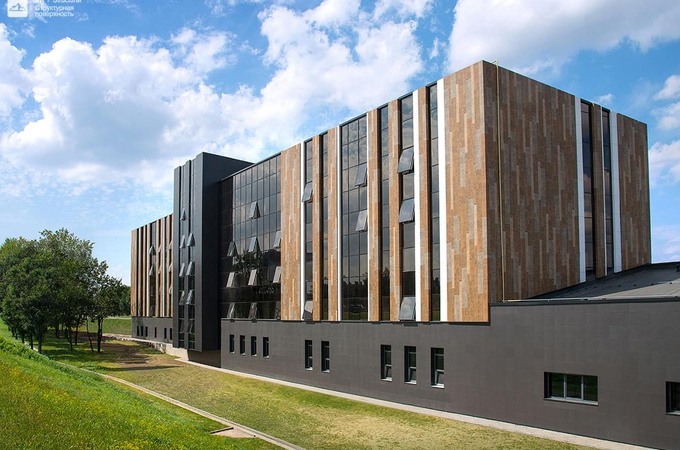 Керамогранит Granite Wood Ego Idalgo