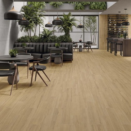 Dexter STN Ceramica