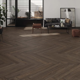 Dexter STN Ceramica