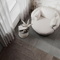 Calacatta Carve Laparet