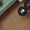 Canarium Brown Laparet
