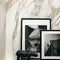 Etoile de Rex Rex Ceramiche