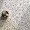 FIO GHIAIA Fioranese
