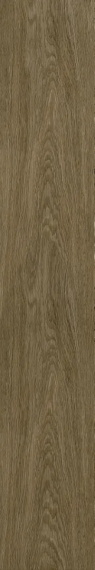 Керамогранит Coliseum Ducale Pepper 20x120