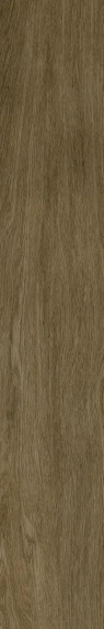 Керамогранит Coliseum Ducale Pepper 20x120