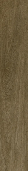 Керамогранит Coliseum Ducale Pepper 20x120
