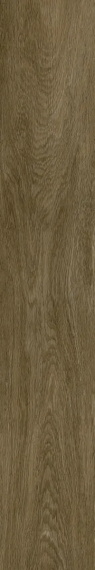 Керамогранит Coliseum Ducale Pepper 20x120