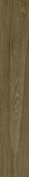 Керамогранит Coliseum Ducale Pepper 20x120