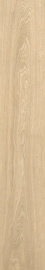 Керамогранит Coliseum Ducale Sand 20x120