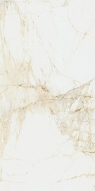 Керамогранит Coliseum Canova White 60x120
