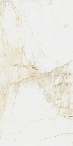 Керамогранит Coliseum Canova White 60x120