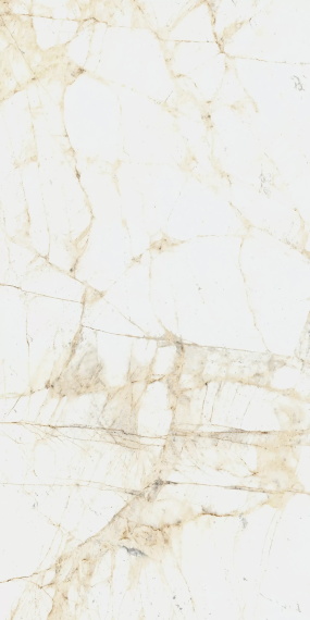 Керамогранит Coliseum Canova White 60x120