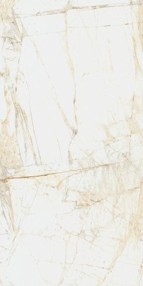 Керамогранит Coliseum Canova White 60x120