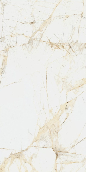 Керамогранит Coliseum Canova White 60x120