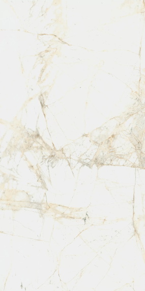 Керамогранит Coliseum Canova White 60x120