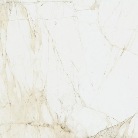 Керамогранит Coliseum Canova White 60x60
