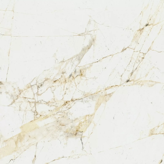 Керамогранит Coliseum Canova White 60x60