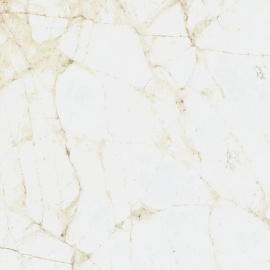 Керамогранит Coliseum Canova White 60x60