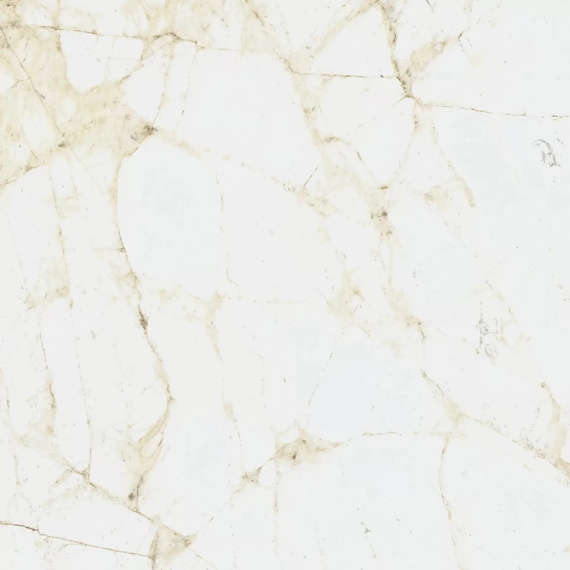 Керамогранит Coliseum Canova White 60x60