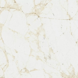 Керамогранит Coliseum Canova White 60x60