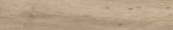 BASE FOREST NATURAL 20x120 Matt