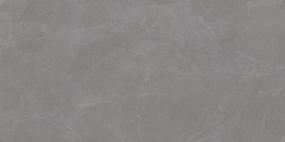 Керамогранит Rizzi Staro Valencia Grey 60x120 Matt (2 шт.в уп)