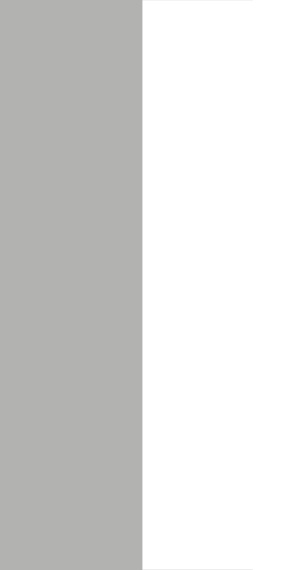 Слэб керамический MONO GREY 800х3200х12мм MATT
