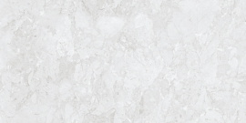 Керамогранит NT Ceramic ROCKSTAR ORLEANS MATT 60x120