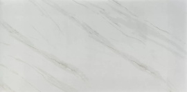 Керамогранит NT Ceramic Керамогранит NTT9401 60x120