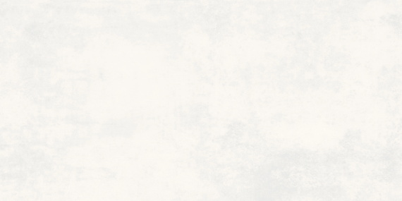 Керамогранит Buono Ceramica Clayton Colori Snow Matt CVL4495M 60x120