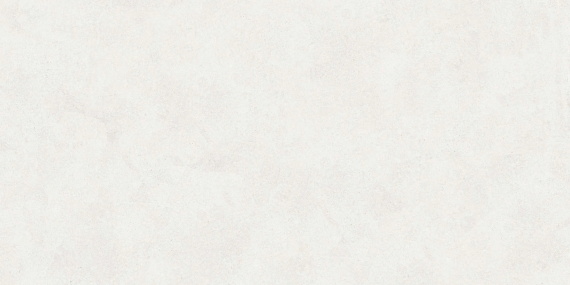 Керамогранит Buono Ceramica Emma Fiore Base Matt EVL4802M 60x120